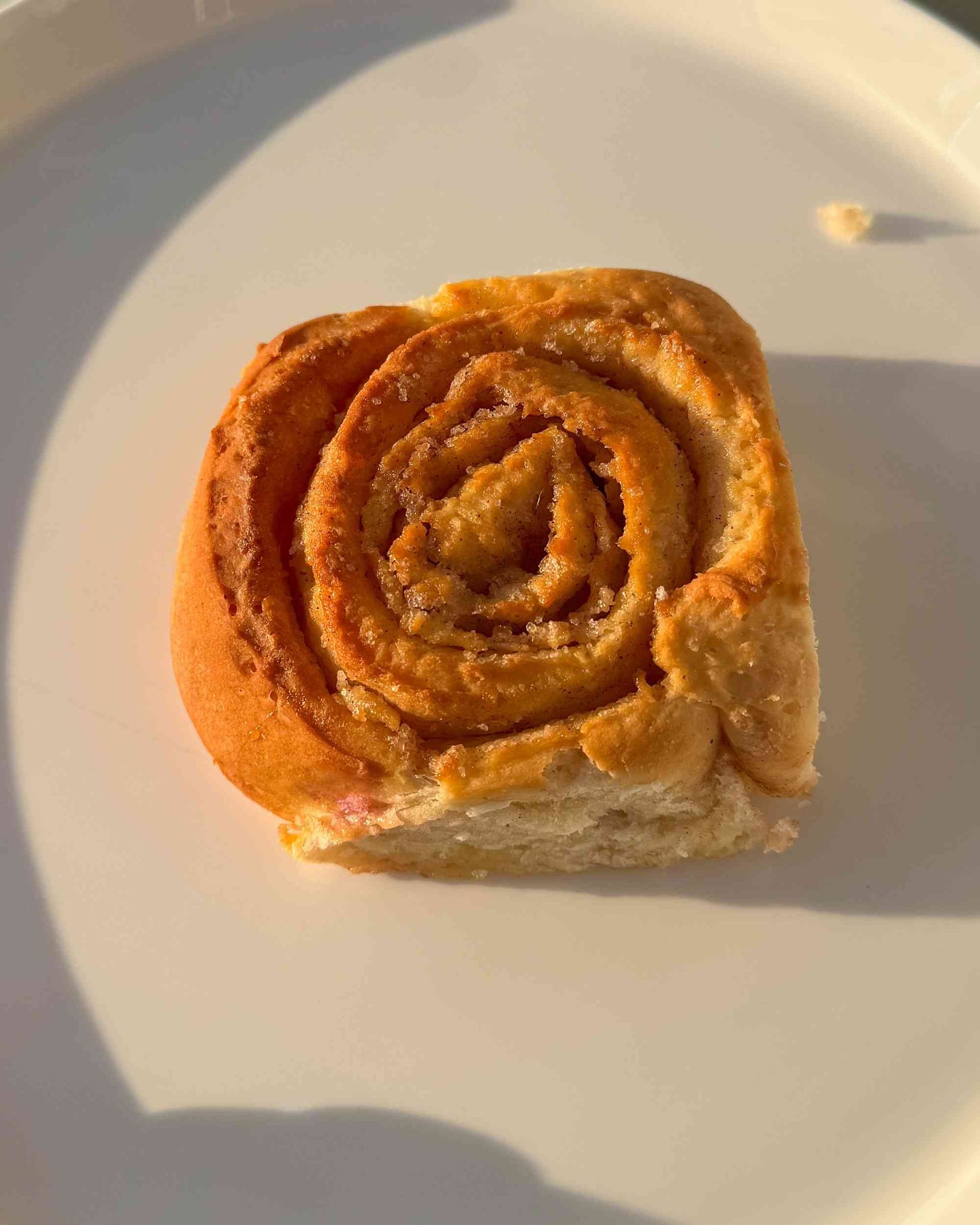 Hefeschnecken kaufen | Zimt, Himbeere, Pistazie & Schoko | saftig, soft & mit fein buttriger Füllung