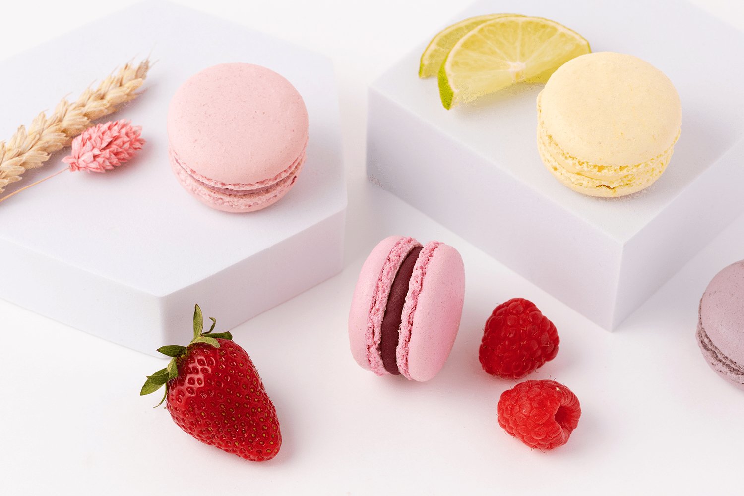 24er Box | "Fresh & Fruity" | Midi Macarons - Seidenzucker